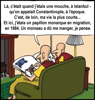 Bouddhisme et renaissances 01