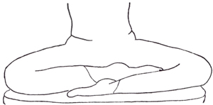 Les asana 06