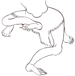 Les asana 29