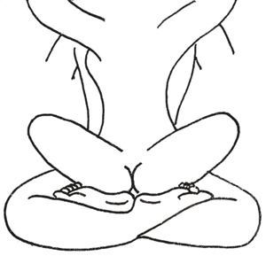 Les asana 41