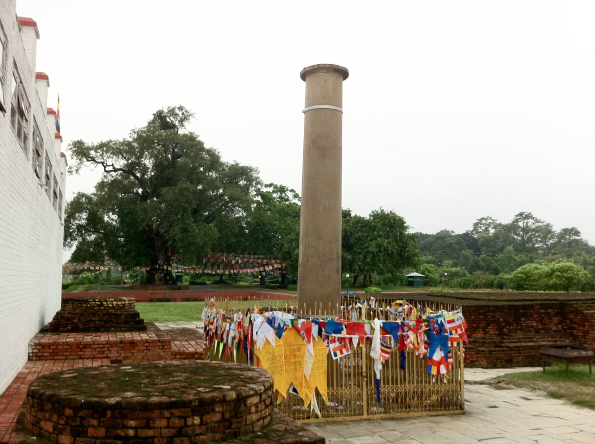 Lumbini 02