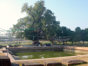 Lumbini 10