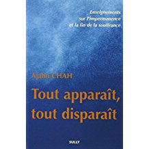 Tout apparait tout disparait 07